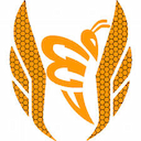Atletizm Takımı
