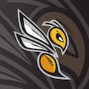 İTÜ Hornets