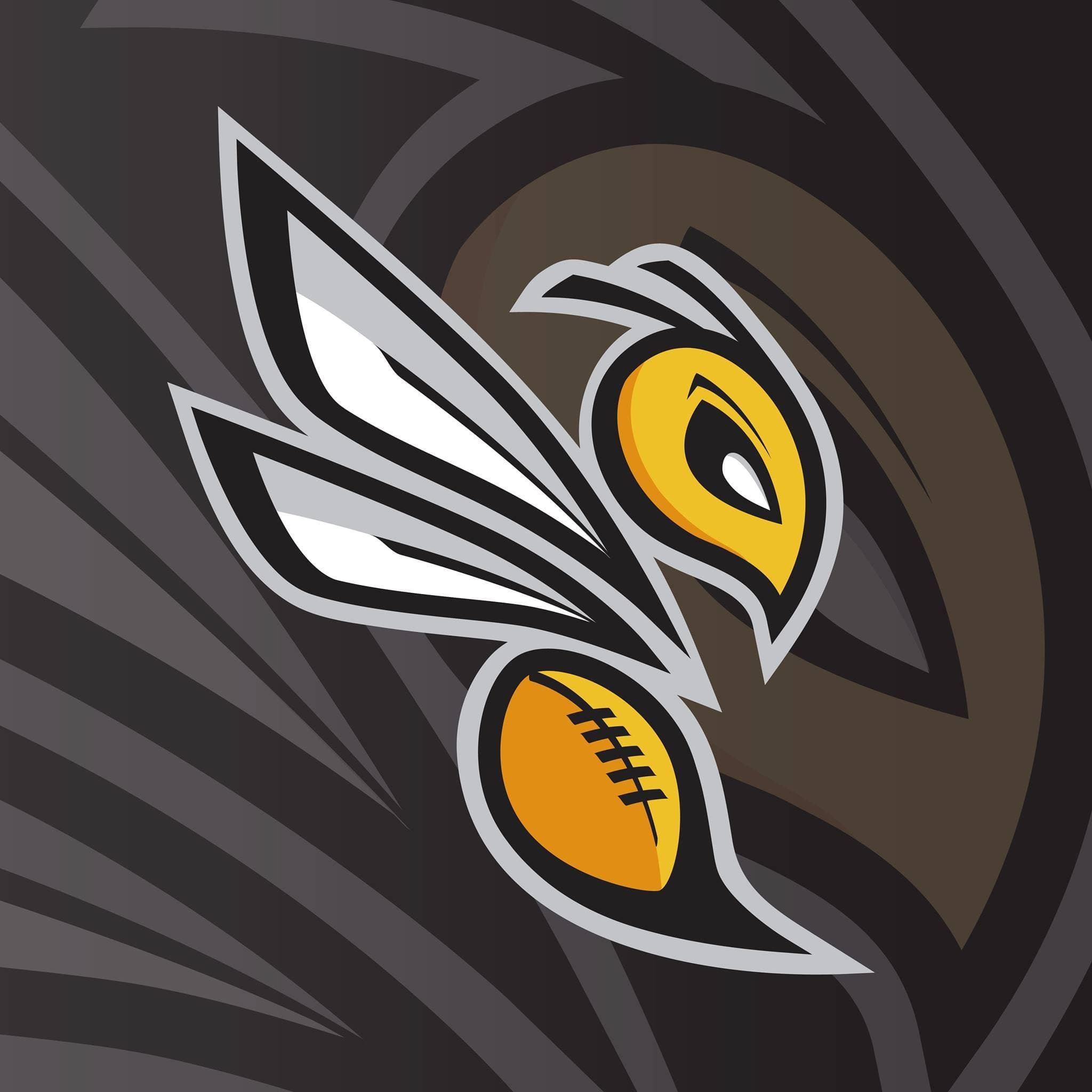 İTÜ Hornets